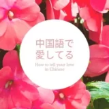 上海女子直伝！中国語で大好き愛してる｜すぐ使えるラブレター例文
