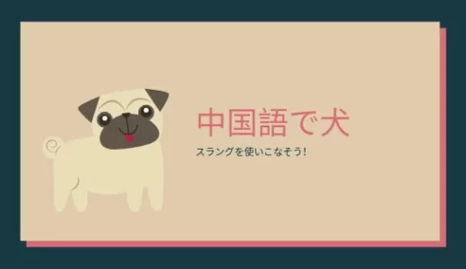 中国語で「犬」は気をつけて！【犬の種類・鳴き声からスラングまで】